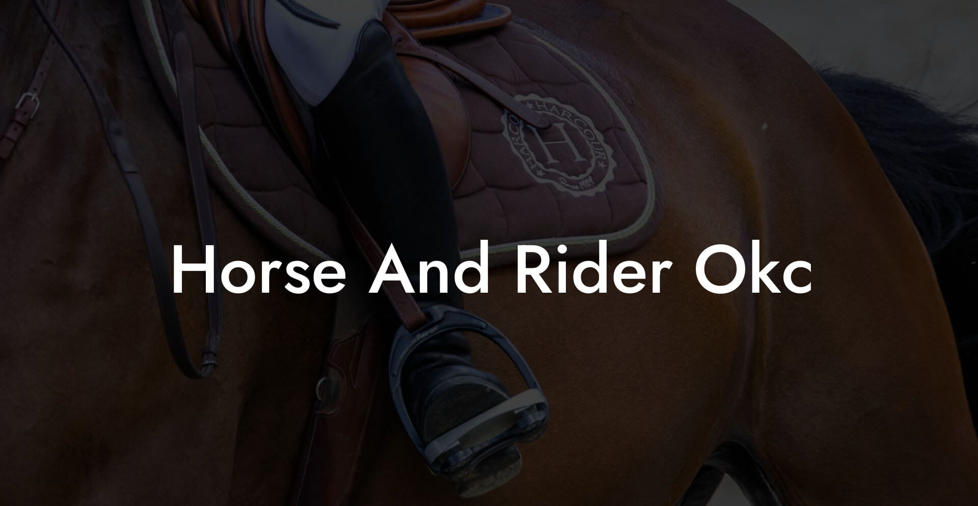 Horse And Rider Okc
