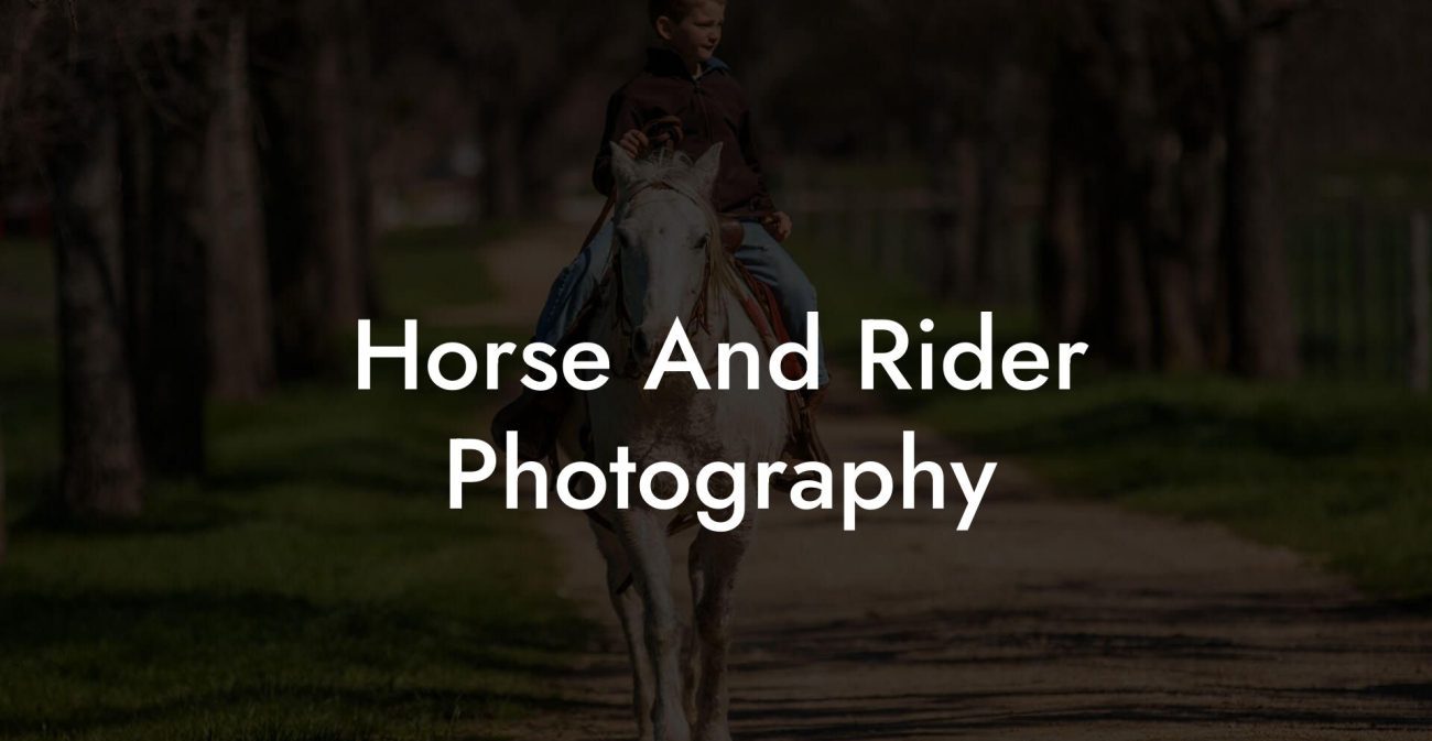 Horse And Rider Photography