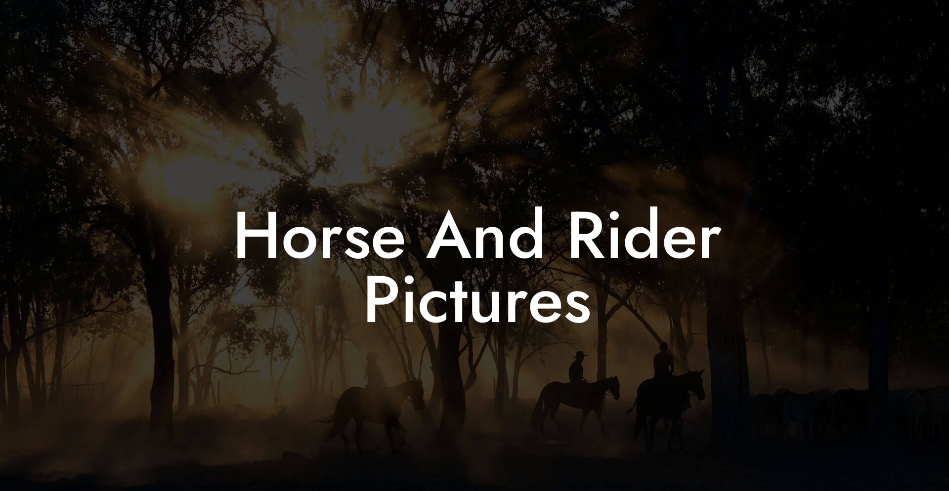 Horse And Rider Pictures