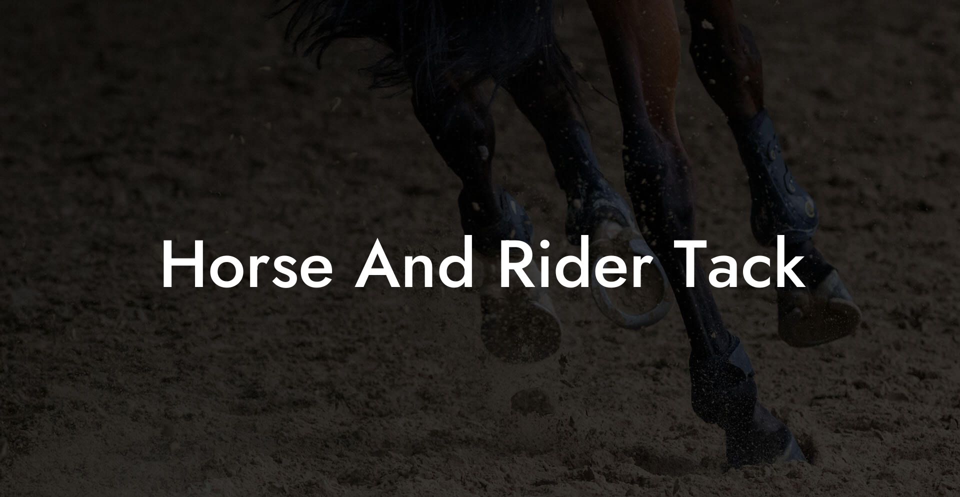 Horse And Rider Tack