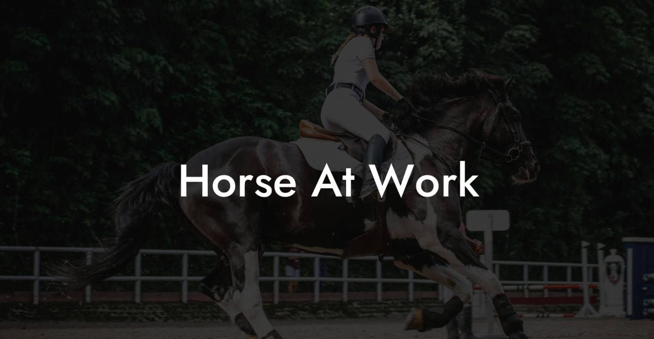 Horse At Work