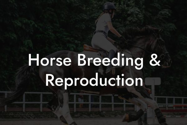 Horse Breeding & Reproduction