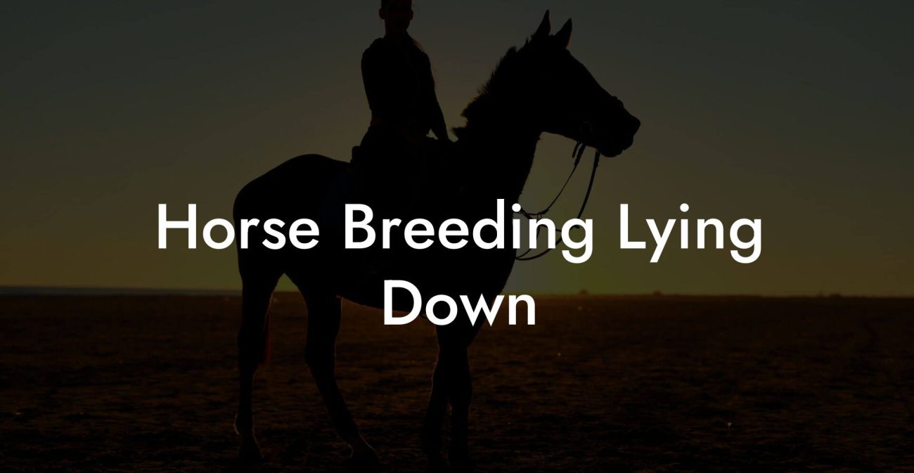Horse Breeding Lying Down