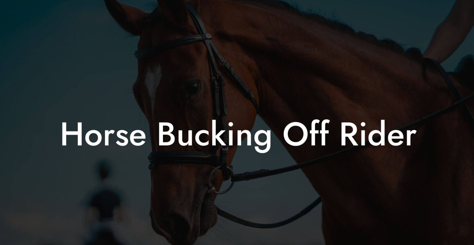 Horse Bucking Off Rider How To Own a Horse
