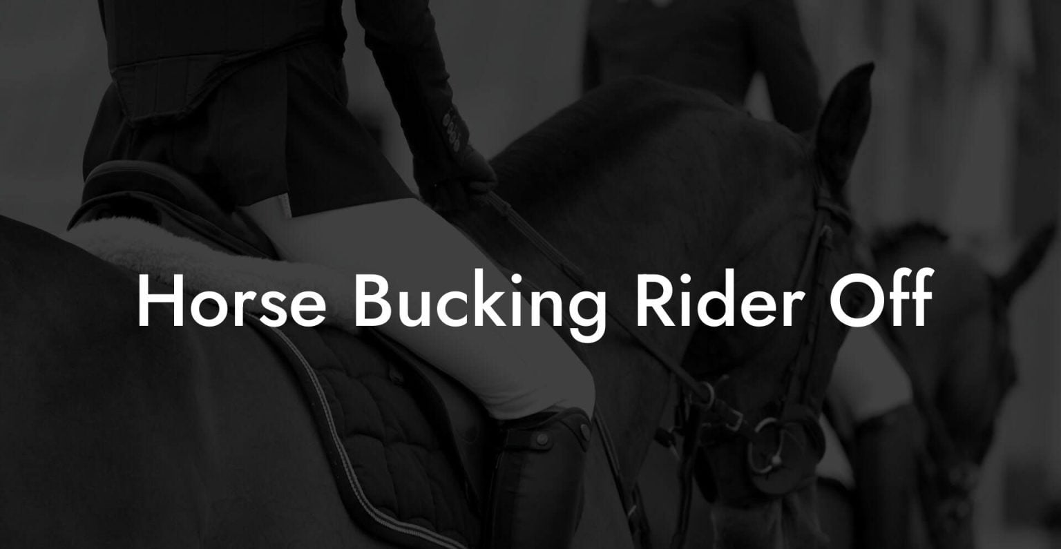 Horse Bucking Rider Off How To Own a Horse