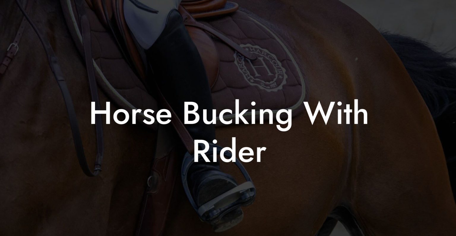 Horse Bucking With Rider How To Own a Horse