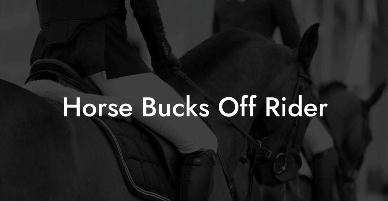Horse Bucks Off Rider