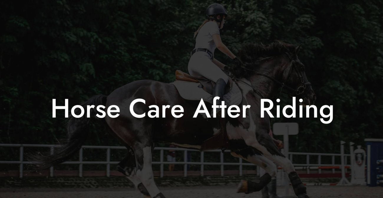 Horse Care After Riding