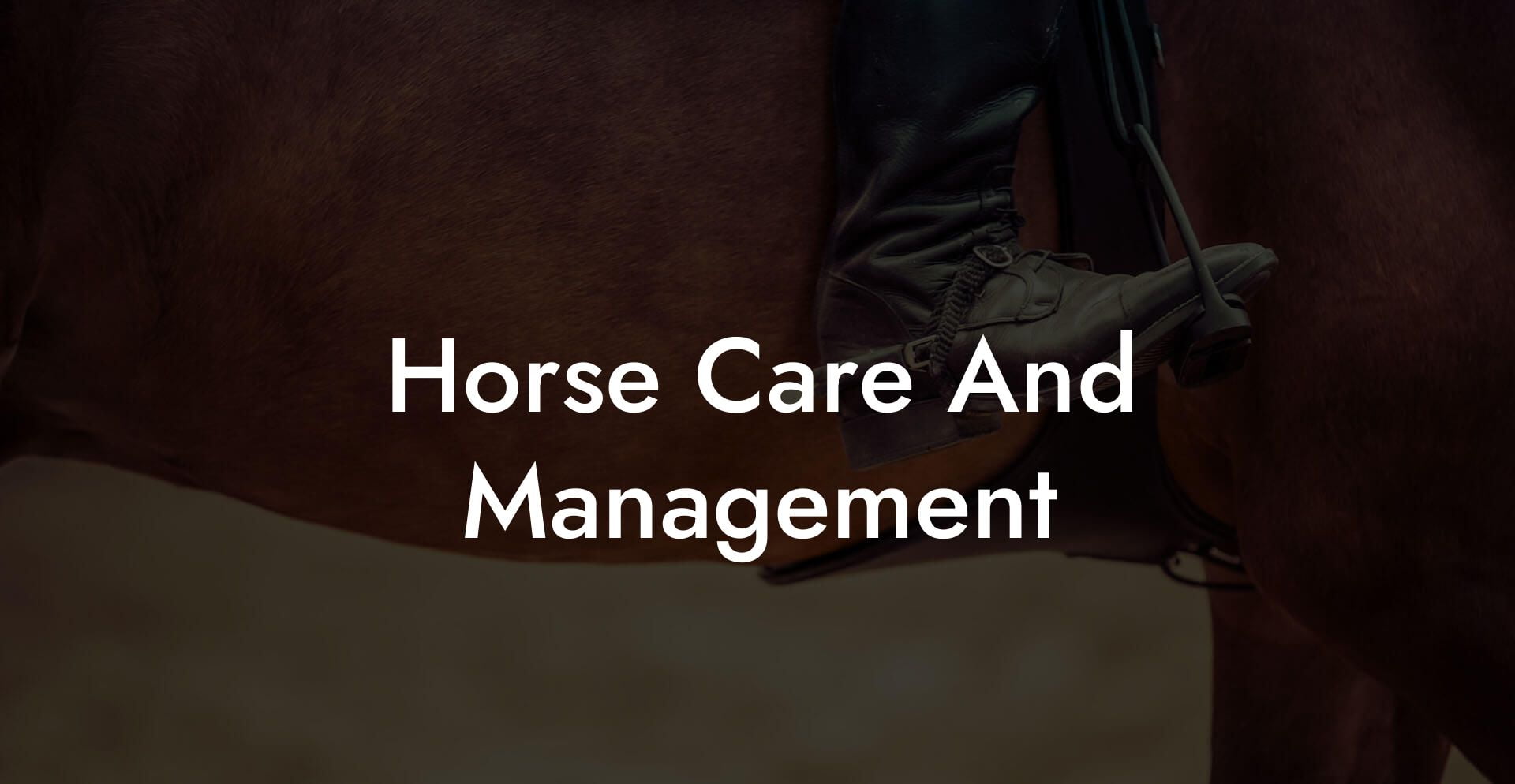 Horse Care And Management