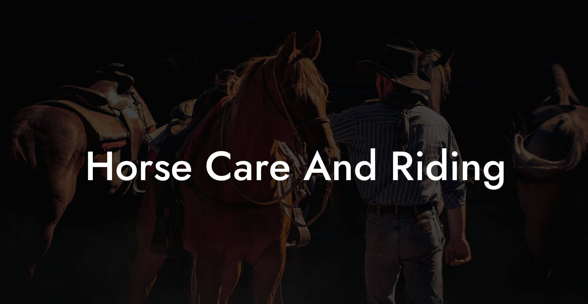 Horse Care And Riding