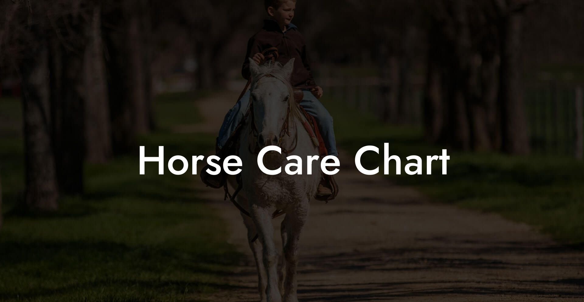 Horse Care Chart