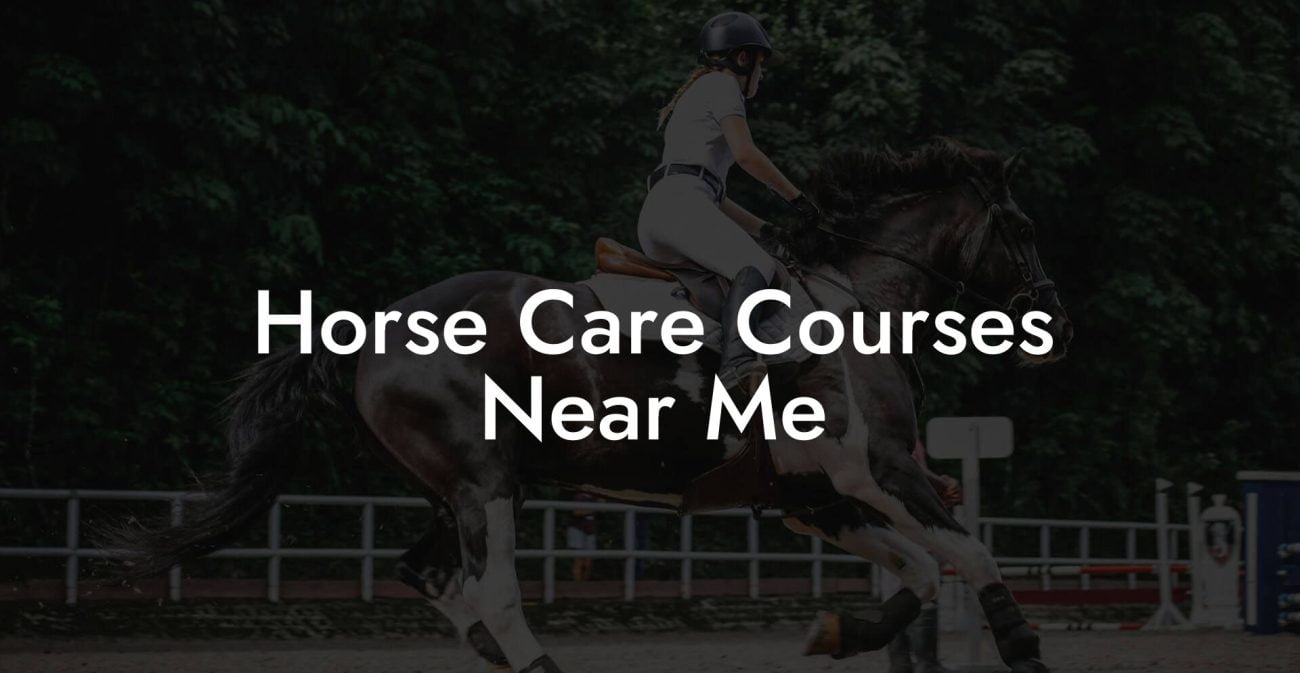 Horse Care Courses Near Me