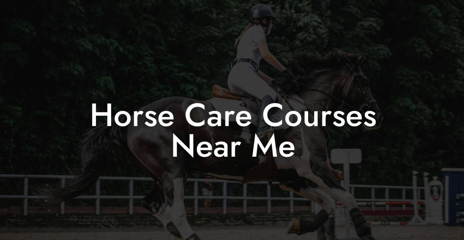 Horse Care Courses Near Me How To Own a Horse