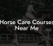 Horse Care Courses Near Me