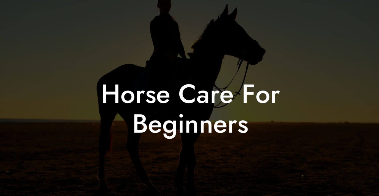 Horse Care For Beginners