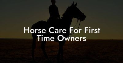 Horse Care For First Time Owners Horse Care For First Time Owners