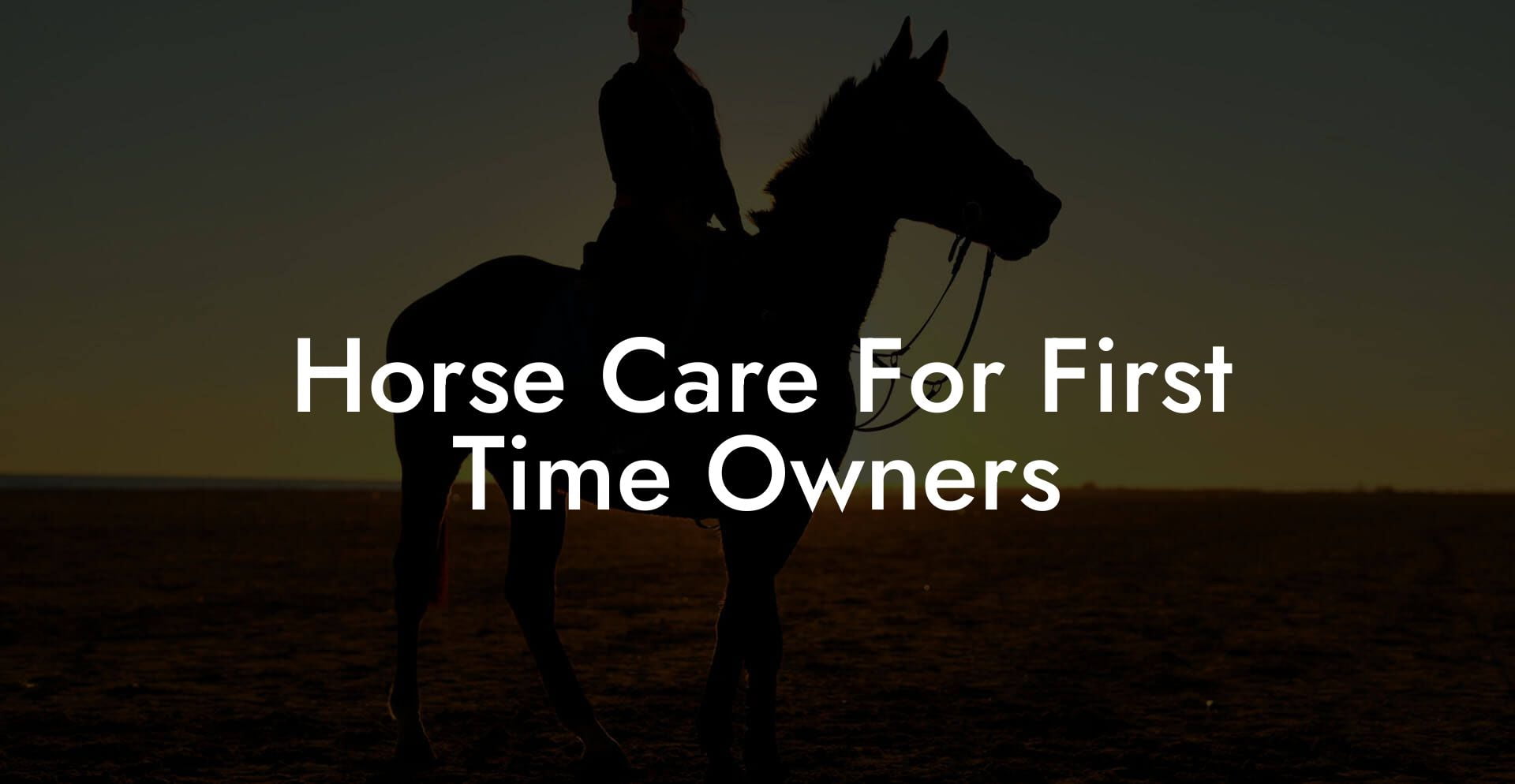 Horse Care For First Time Owners