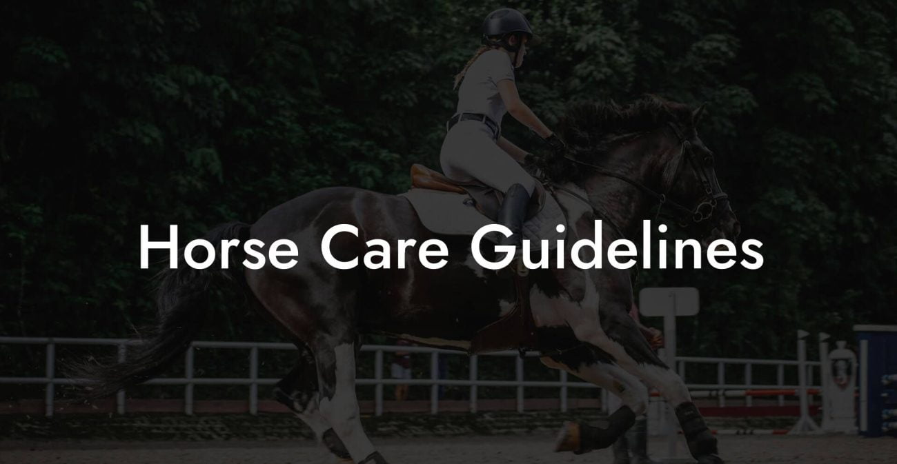 Horse Care Guidelines