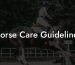 Horse Care Guidelines