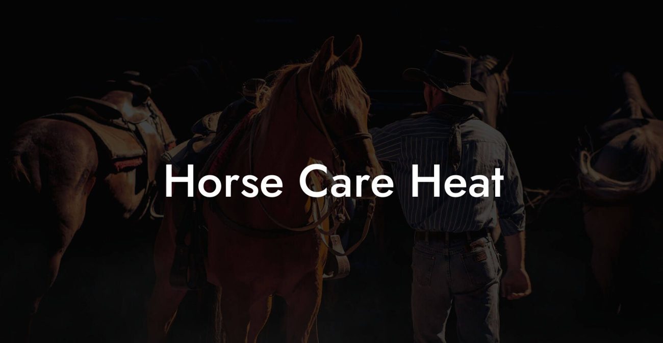 Horse Care Heat