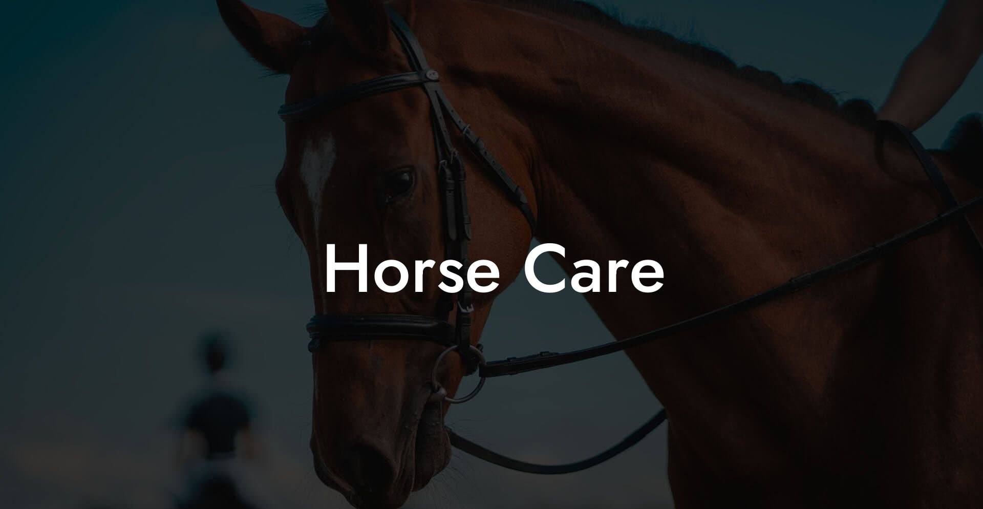 Horse Care