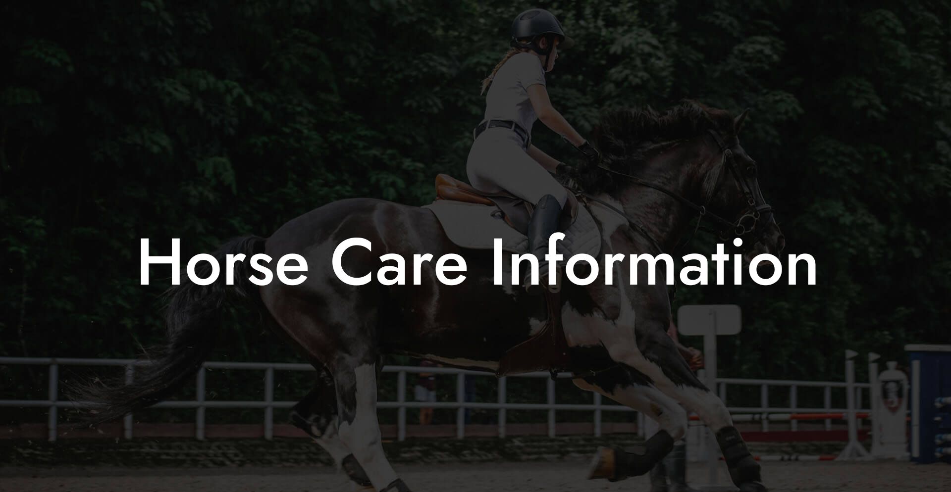 Horse Care Information
