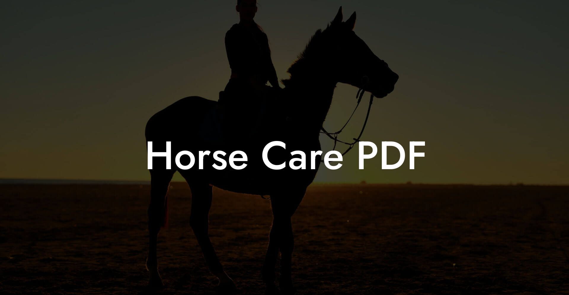 Horse Care PDF