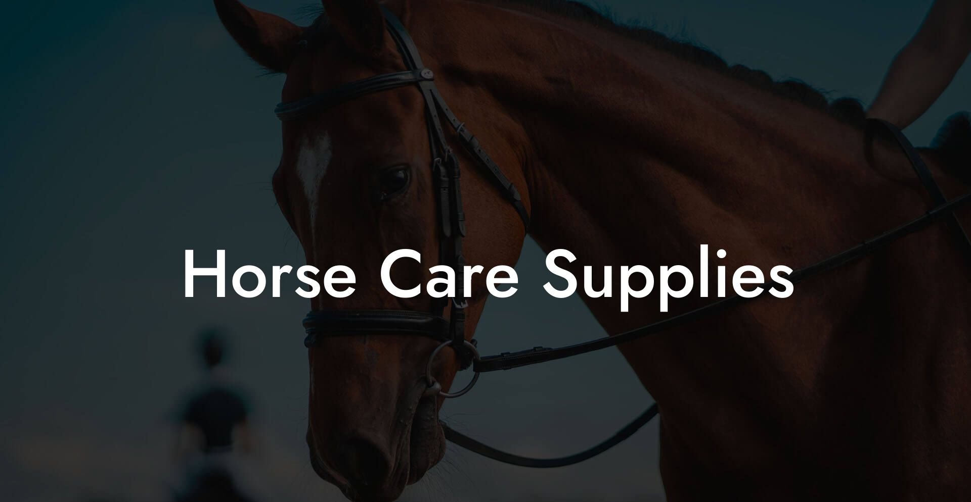 Horse Care Supplies