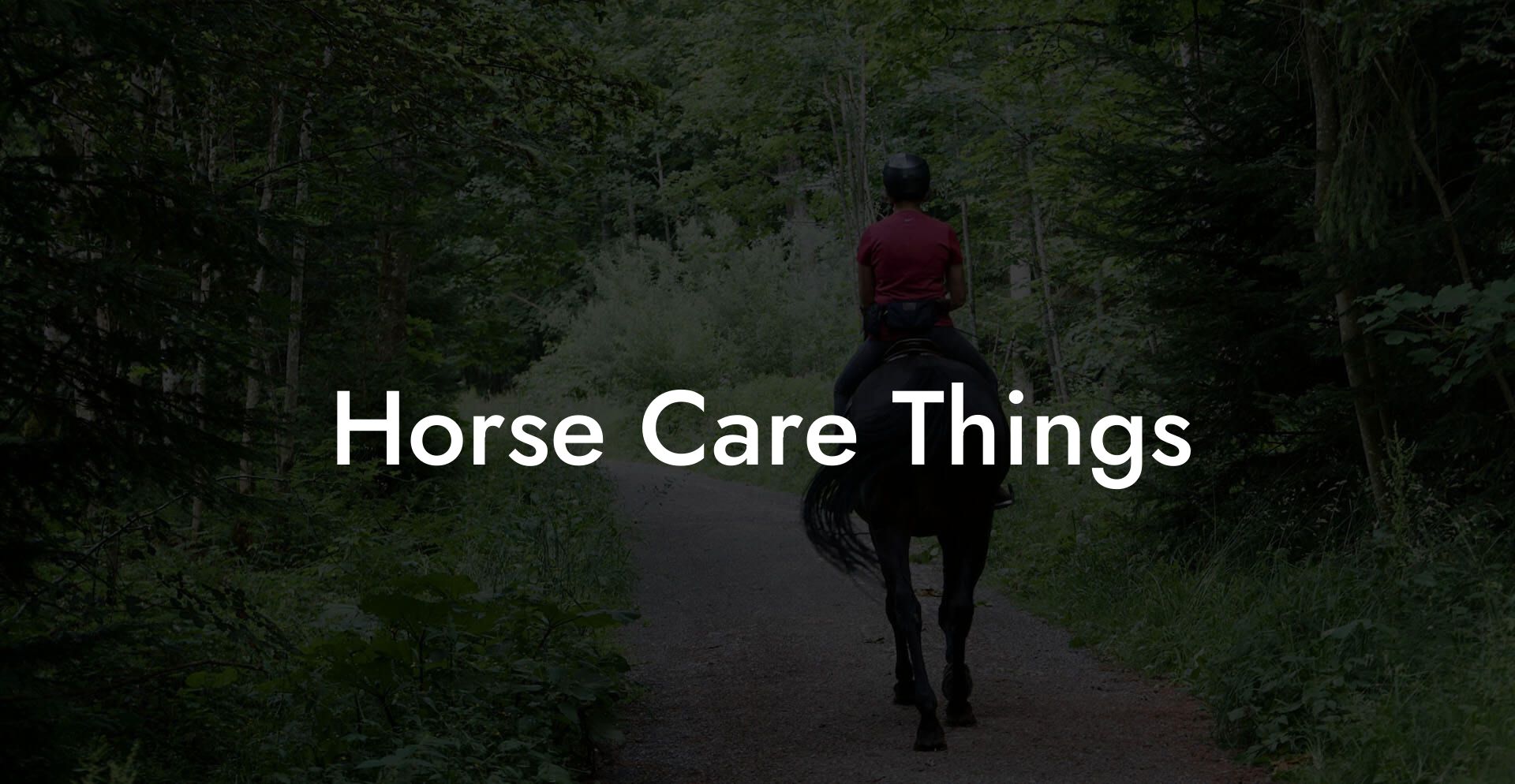 Horse Care Things