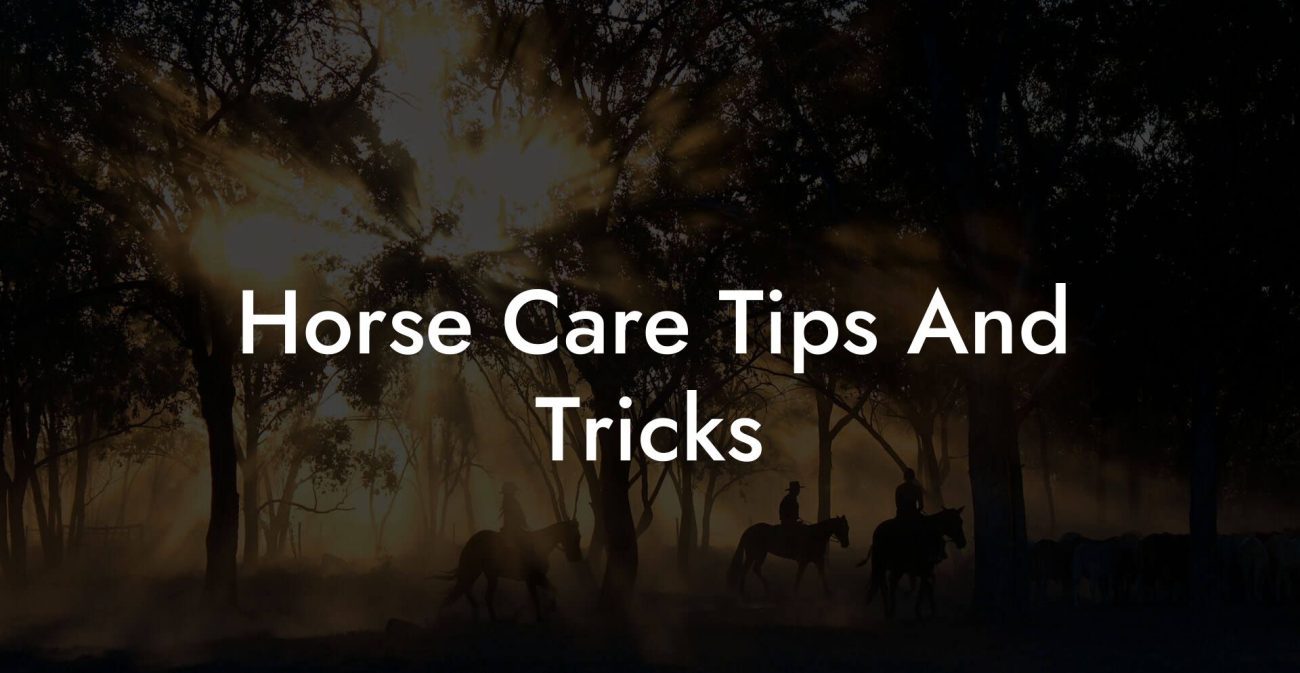 Horse Care Tips And Tricks
