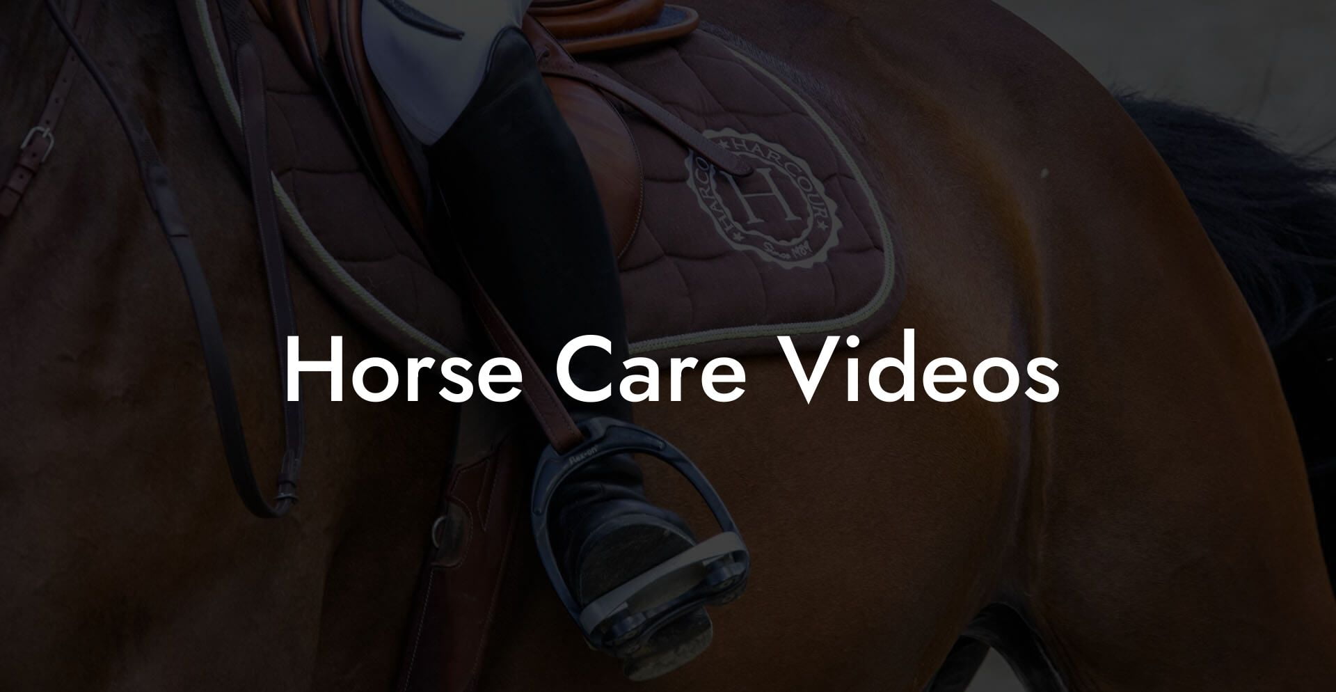 Horse Care Videos