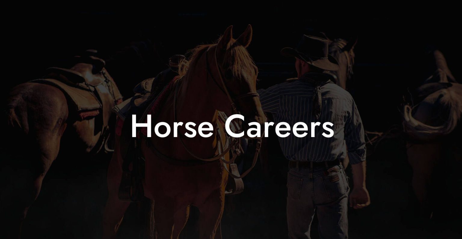 Horse Careers How To Own a Horse