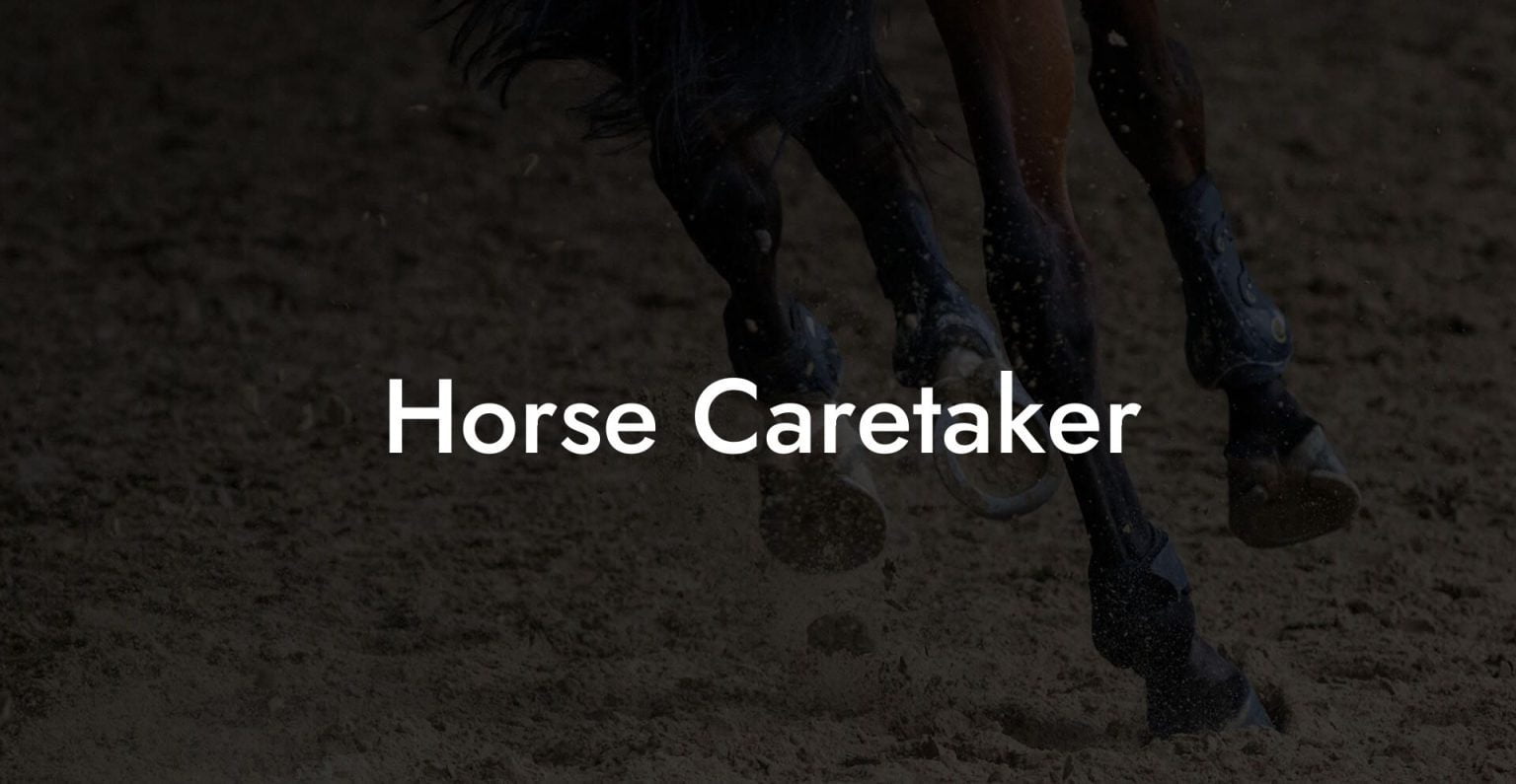Horse Caretaker How To Own a Horse