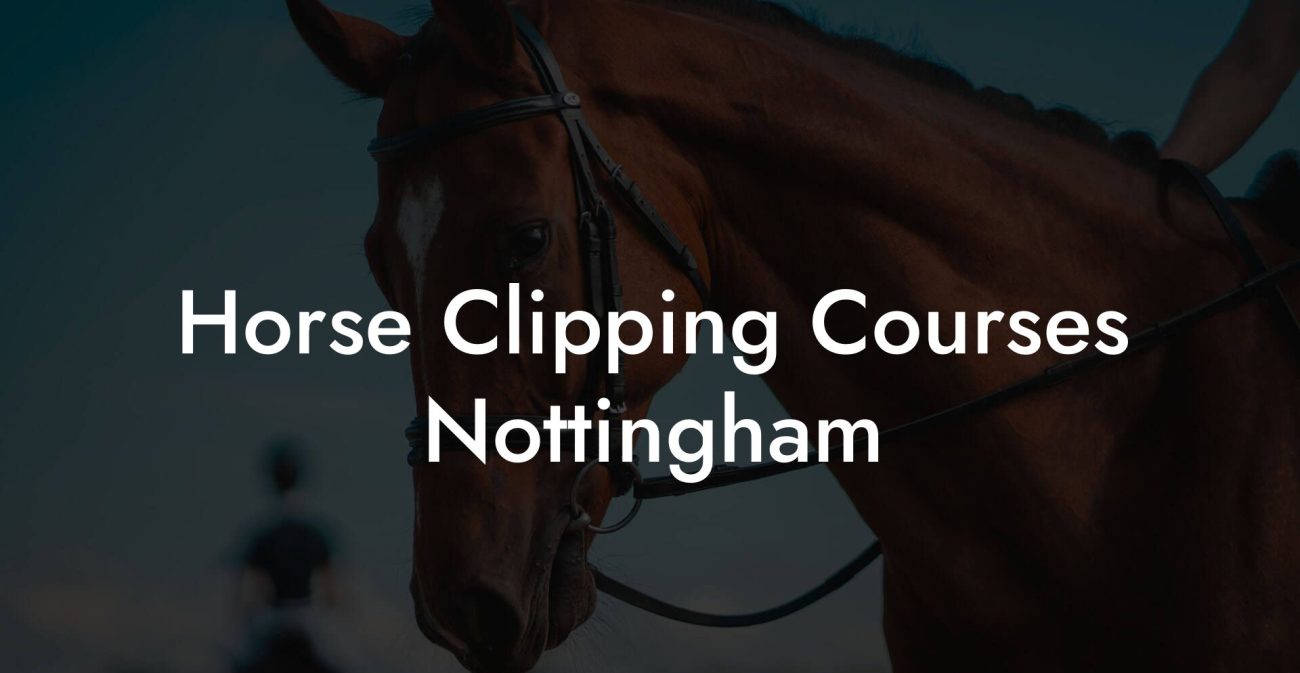 Horse Clipping Courses Nottingham