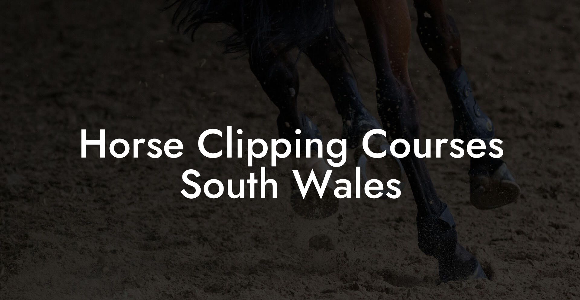 Horse Clipping Courses South Wales