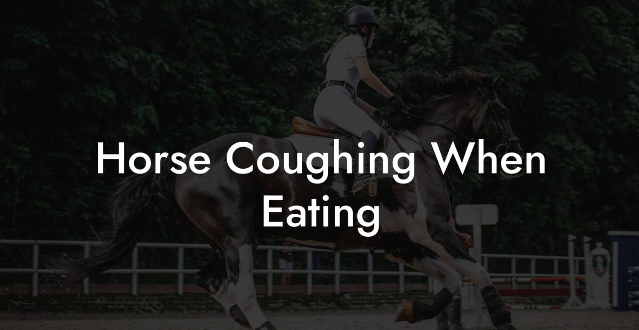 Horse Coughing When Eating