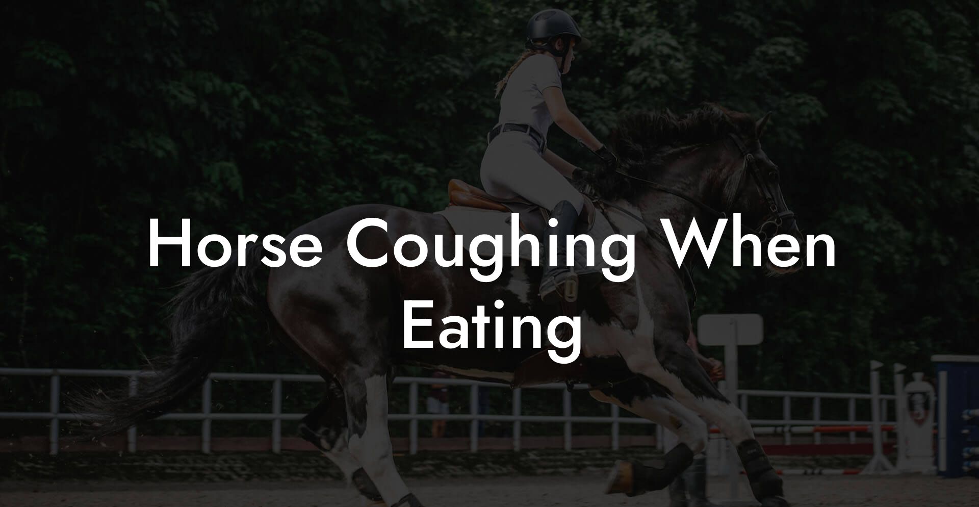 Horse Coughing When Eating