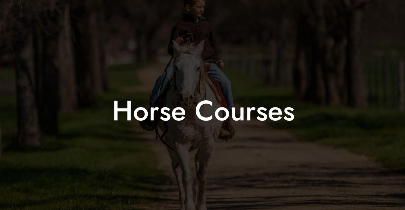 Horse Courses How To Own a Horse