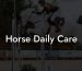 Horse Daily Care