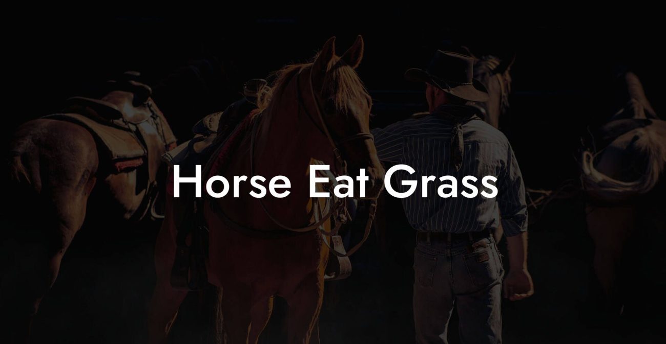 Horse Eat Grass
