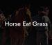 Horse Eat Grass