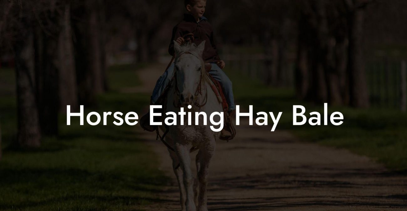 Horse Eating Hay Bale