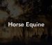 Horse Equine