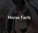 Horse Facts