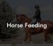 Horse Feeding
