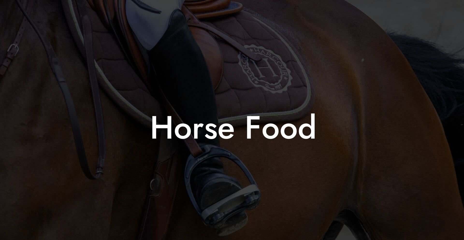 Horse Food