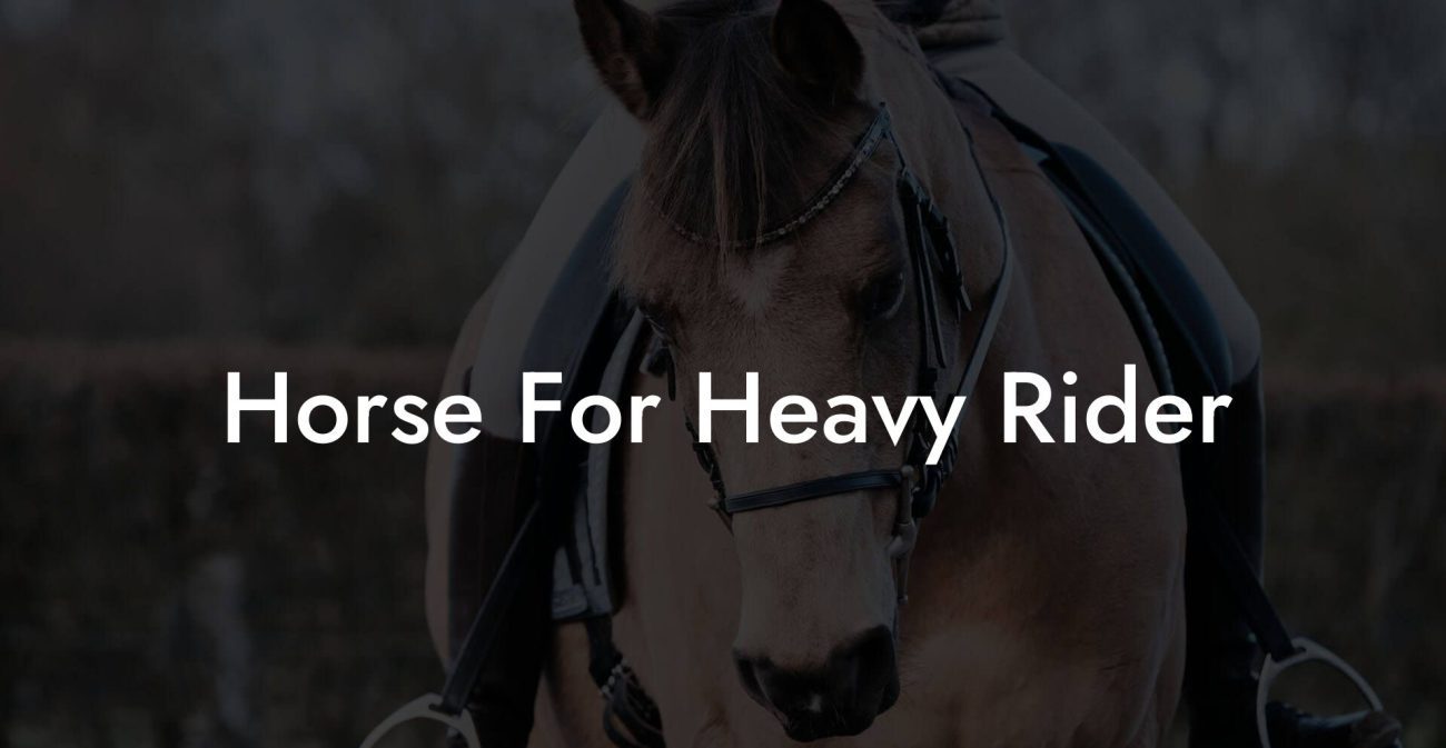 Horse For Heavy Rider