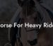 Horse For Heavy Rider