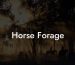 Horse Forage