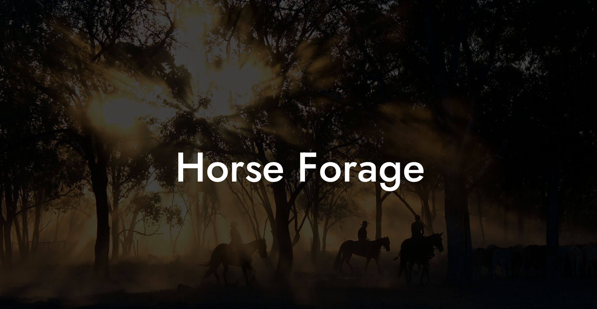 Horse Forage